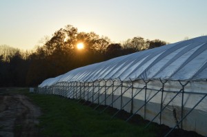 Cover photo for Managing Snow and Ice With Greenhouses and High Tunnels (1/22/16)