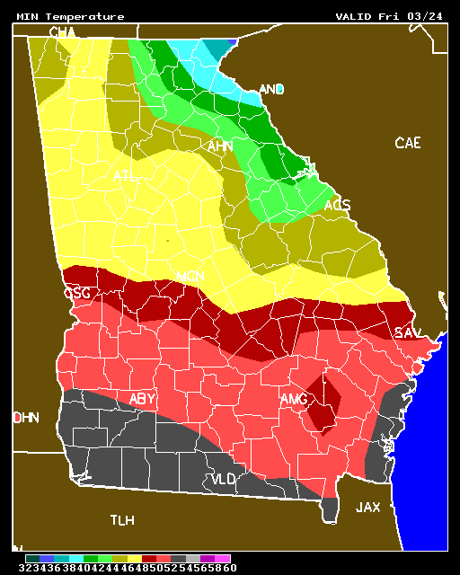 Georgia forecast map