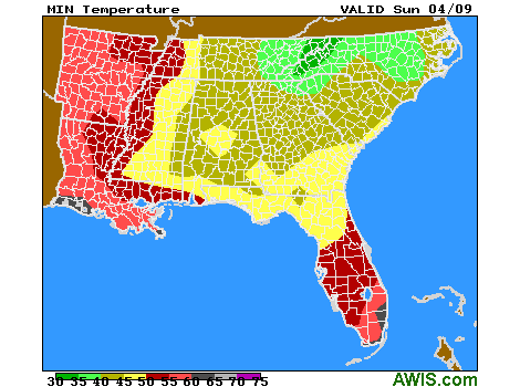 Southeast US temperature forecast