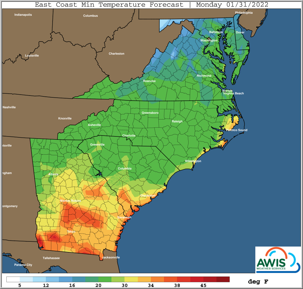 Weather Warning: 20s and 10s Expected This Weekend | NC State Extension